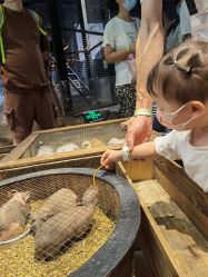 -酷嗒动物文化乐园(cutezoo西溪乐天城店)