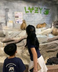 -Zoolung Zoolung动物主题公园(海信广场店)