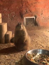 -酷嗒动物文化乐园(cutezoo西溪乐天城店)