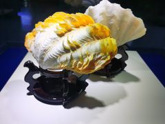 -贝壳王国博物馆