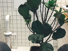 -执茶识麦(万达华府店)