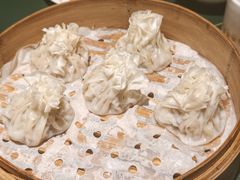 -老阿妈蒙古村·蒙古包·草原文化·歌舞表演(老君堂店)