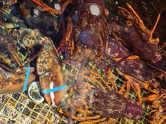 -海鲜e族(马王堆店)