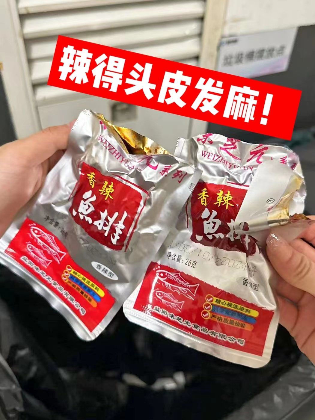 味芝元鱼尾!每个湖南人必上的一堂课