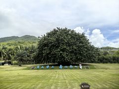 -三亚南山文化旅游区