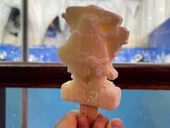 -太平洋海底世界