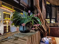 -玛吉阿米·餐吧