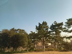 -在海一方公园
