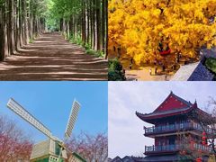 -日照灯塔风景区