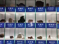 -中国地质博物馆