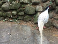 -湄公河秘制烤鱼(西双十贰城商业中心店)