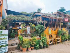-Jungle Kitchen