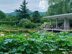 -国家植物园南园