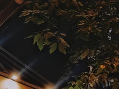 -小龍鳳餐室(番禺路店)