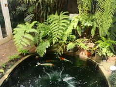 -Fern Forest Cafe