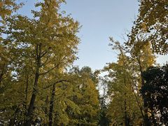 -渤公岛生态公园