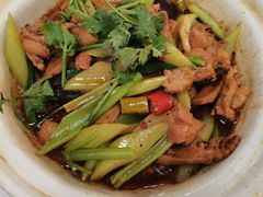 香焗风味鸡煲-新旺茶餐厅(嘉里城店)