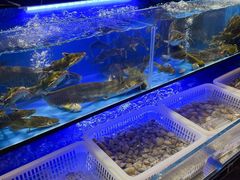 -布多斯烤肉火锅自助(江腾广场店)