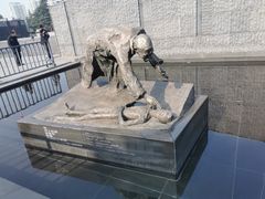 -侵华日军南京大屠杀遇难同胞纪念馆