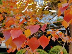 -虹迎轩·中餐厅(虹桥迎宾馆店)