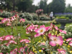 -国家植物园