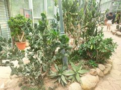 -郑州植物园