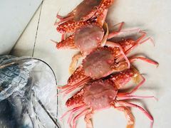 -小辣妹川味海鲜加工店(第一市场椰风巷店)