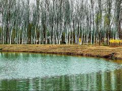 -东郊湿地公园