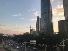 -利苑酒家(合景国际金融广场店)