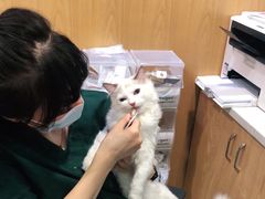 -宠颐生宠物医院·心肾内科·猫专科诊疗中心宠巢店