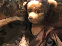 -济州岛泰迪熊博物馆