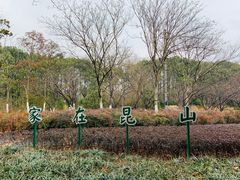 -昆山城市生态森林公园