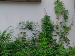 -西湖区图书馆(古墩路)