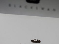 -BLACKSWAN黑天鹅(环球店)