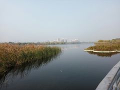 -永定河休闲森林公园