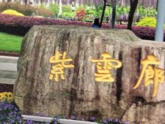 -嘉定紫藤园