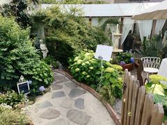 -Jo's Garden