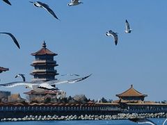 -蓬莱阁景区