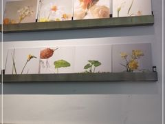 -喜茶(上海打浦桥日月光gelato lab+店)