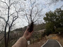 -平湖九龙山旅游度假区