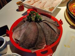-二荆条·城市森林火锅旗舰店