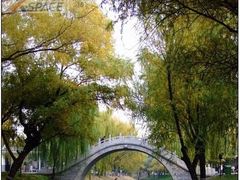 -紫竹院公园冰场