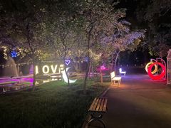 -枫花园汽车电影院(朝阳公园店)