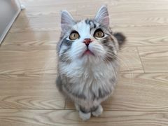 -欧奕国际动物医院