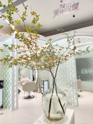 -Meng Lang 梦郎白金店