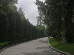 -奔驰北京极光星徽(四元桥店)