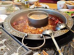 -杨肥肠火锅大排档(火车站花园店)