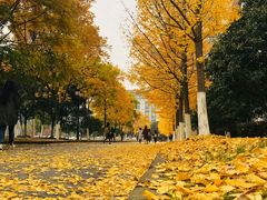 -江南大学(蠡湖校区)