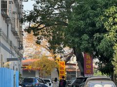 -阿弟早茶大排档(九村店)