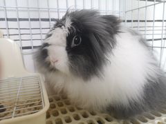 -白夜2D咖啡馆